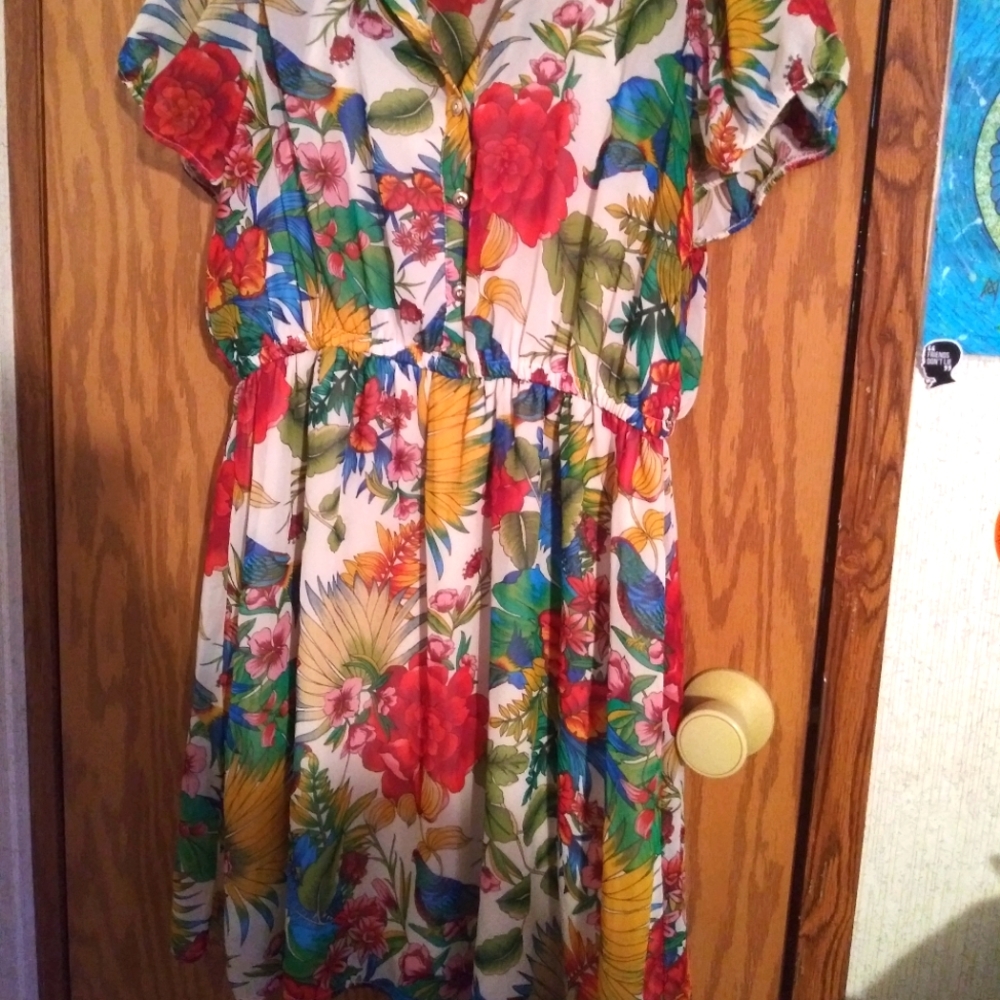 Forever 21 plus size dress